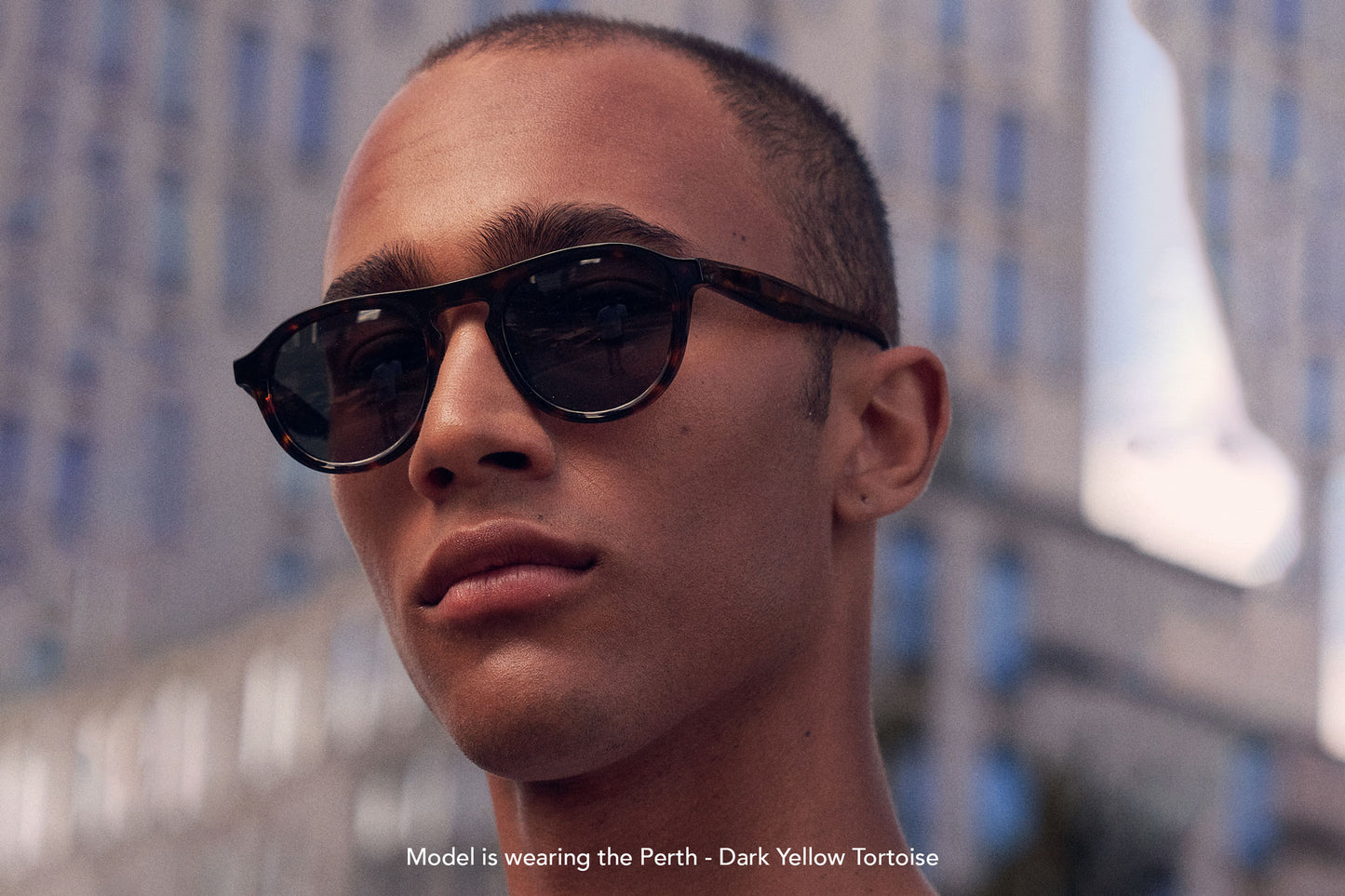 Perth -Dark Yellow Tortoise